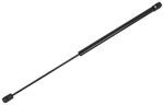 Gas Struts