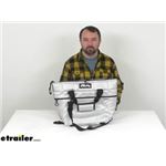 Review of AO Coolers Coolers - Carbon Series Cooler Bag Silver 12 Cans - AC48FR