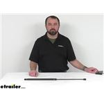 A Closer Look at the Universal Gas Strut
