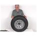 Review of Lionshead Trailer Tires and Wheels - Tire with Wheel - LH33FR