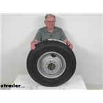 Review of Taskmaster Trailer Tires and Wheels - Tire with Dual Wheel - TA96FR