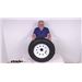 Review of Taskmaster Trailer Tires and Wheels - Tire with Wheel - A225R65WS