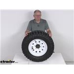 Review of Taskmaster Trailer Tires and Wheels - Tire with Wheel - TA25RR