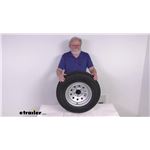 Review of Taskmaster Trailer Tires and Wheels - Tire with Wheel - TA59AR