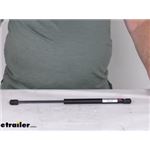 Review of Taylor Made Boat Accessories - Gas Strut - 3691876-60