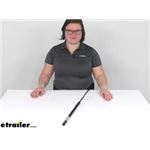Checking Out the Taylor Made Marine Gas Strut for Boat Hatches-3691879-40