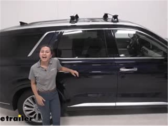hyundai palisade luggage rack