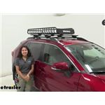 Yakima SkinnyWarrior Roof Rack Cargo Basket Review - 2019 Toyota RAV4