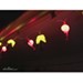 Camco Flamingos and Palm Trees Party Lights Review