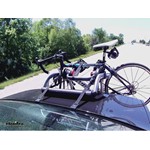 yakima kingjoe pro 2 bike trunk rack