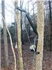 0  field dressing tools tree mount viking solutions kwik hoist w/ winch - steel 400 lbs