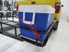 ProGrip Trailer,Truck Bed,Cargo Carrier,Roof Rack - 317-055160