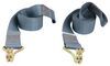 Buyers Products Replacement Strap and Pry Bar for Ratchet Tie Downs Straps 3373028819