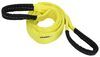 348840 - 2 Inch Wide SmartStraps Recovery Strap