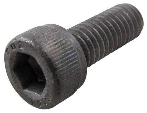 Replacement M6 x 16 mm Bolt for Thule Professional Ladder Tilt