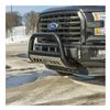 Aries Automotive Grille Guards - AAB35-3007