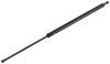 vehicle liftgate custom fit gas strut -