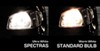 EVO Formance Vehicle Lights - CM93396F