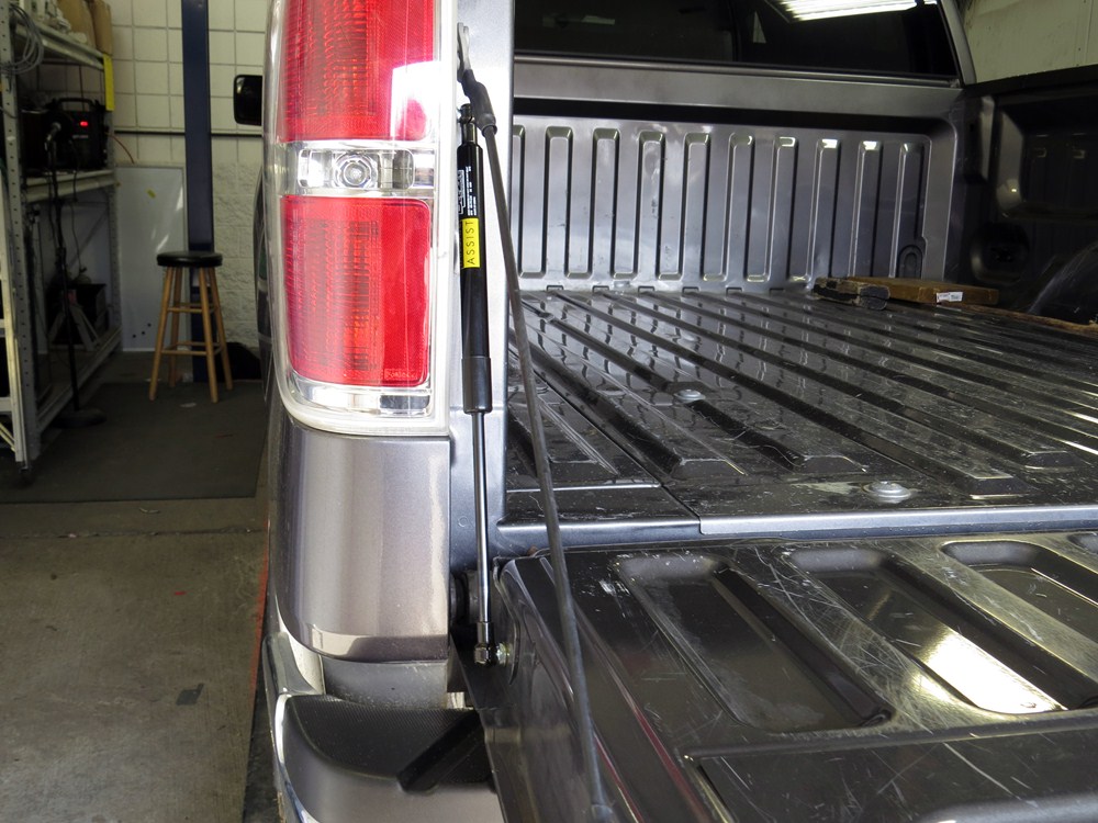 2011 Ford F-150 DeeZee Tailgate Assist Custom Tailgate-Lowering System ...