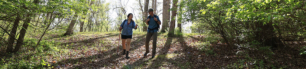 Two hikers walking through the woods. 