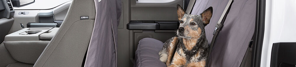 Dog laying on back seat cover in vehicle.