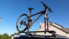 Rhino-Rack MountainTrail Rooftop Bike Carrier - Fork Mount customer photo