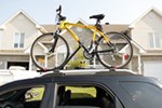 swagman upright roof rack bike mount