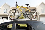 swagman bike roof rack