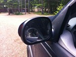 Review image number 1 submitted by Mason M
