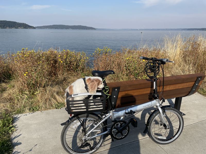 thule bicycle basket
