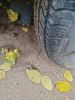 Kenda ST205/75D14 Bias Trailer Tire - Load Range C customer photo