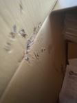 Review image number 5 submitted by Kurt