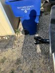 Review image number 3 submitted by Brando