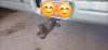 Curt Trailer Hitch Receiver - Custom Fit - Class III - 2" customer photo