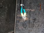 Review image number 1 submitted by Chuck
