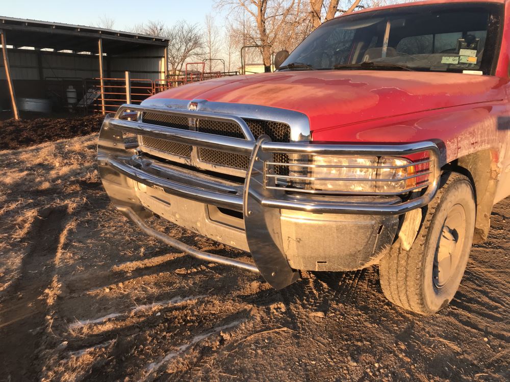 1998 dodge ram 1500 brush guard