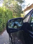 Review image number 1 submitted by Gary