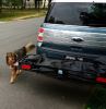 24x60 Reese Cargo Carrier for 2" Hitches - Steel - 500 lbs customer photo