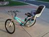 Thule RideAlong Child Bike Seat - Rear - Seat Post Mount - Light Gray customer photo