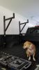 Erickson Truck Bed Ladder Rack - Side Mount - Steel - 250 lbs customer photo