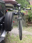 Review image number 2 submitted by Dave R