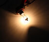 sylvania vehicle lights replacement bulb