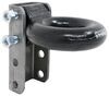 standard coupler 3 inch lunette ring dexter w/ 3-position adjustable channel - diameter raw 21 000 lbs