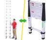 exterior ladders 250 lbs telesteps telescopic ladder - 12-1/2' extended height 16' reachable