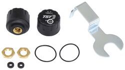 Brass Tire Sensors for TST TPMS - Qty 2 - TST-507-RV-S2