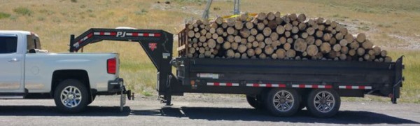 white truck pulling dump trailer loaded with logs. 